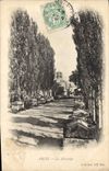CPA Arles les Aliscamps 