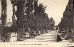 CPA Arles Les Alyscamps L'Allee des Tombeaux 