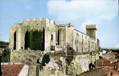 CPM Salon de Provence Le Chateau de l'Empert et la ville 