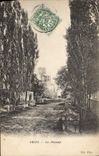CPA Arles Les Aliscamps 