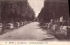 CPA Les Alyscamps - L'Allee des Tombeaux Arles