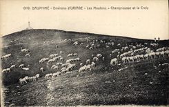 CPA Dauphine Environs d'Uriage Les Moutons Champrousse et la Croix Moutons