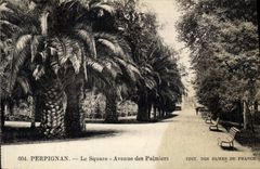 CPA Perpignan Le Square Avenue des Palmiers