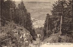 CPA La Bourboule Vue prise du Funiculaire Dans les Sapins