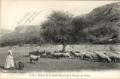 CPA Chaine de La Sainte Baume et le Plateau de Giniez Femme