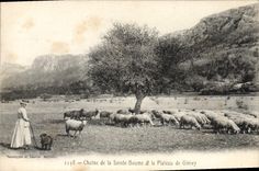 CPA Chaine de la La Sainte Baume et le Plateau du Plan de Giniez