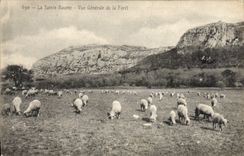 CPA La Sainte Baume Vue generale de la Foret