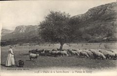 CPA Chaine de La Sainte Baume Le Plateau de Giniez Femme Moutons