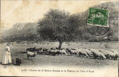 CPA Chaine de La Sainte Baume et le Plateau du Plan d'Aups Femme Moutons