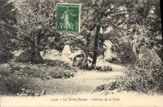 CPA La Sainte Baume Interieur de la Foret