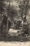 CPA Foret de La Sainte Baume Descente de la Grotte par le Canape
