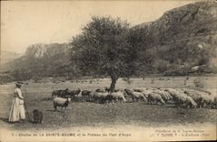 CPA Chaine de La Sainte Baume et le Plateau du Plan d'Aups Femme Moutons