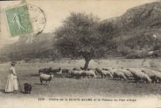 CPA Chaine de La Sainte Baume et le Plateau du Plan d'Aups Femme Moutons