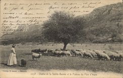 CPA Chaine de La Sainte Baume et le Plateau du Plan d'Aups La Sainte Baume Femme Moutons