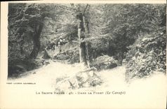 CPA La Sainte Baume Dans la Foret (Le Canape)