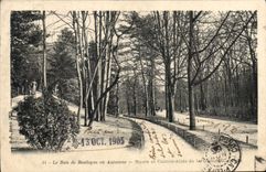 CPA Le Bois de Boulogne en Automne Route et Contre Allee de la Grand 