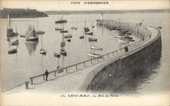 CPA Cote d'Emeraude Saint Malo Le Mole des Noires 