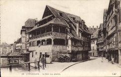 CPA Strasbourg Le Bain aux plantes 