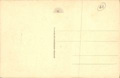 CPA Strasbourg L'Orangerie Gaenseliesel 