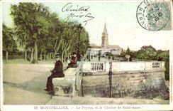 CPA Montpellier Le Peyrou et le Clocher de Sainte Anne 
