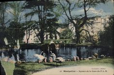 CPA Montpellier Square ed la Gare du PLM 