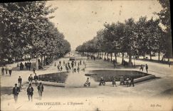 CPA Montpellier L'Esplanade 