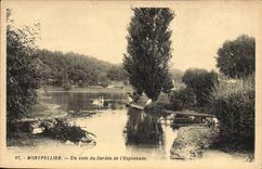 CPA Montpellier Un coin du Jardin de l'Esplanade 