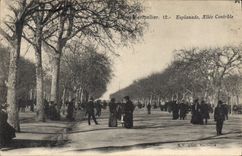 CPA Montpellier Esplanade Allee Centrale 