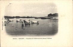 CPA Vichy Vaches a l'Abreuvoir dans l'Allier Bœufs Vaches
