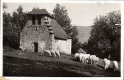 CPM Arceles Chapelle Notre Dame de Castere Moutons