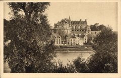 CPA La Doucefrance Chateau de la Loire Le Chateau d'Amboise vu des bords de la Loire