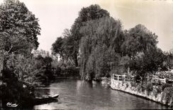 CPA Ivry la Bataille (Eure) Les bords de l'Eure