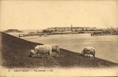 CPA Saint Malo Vue generale Moutons