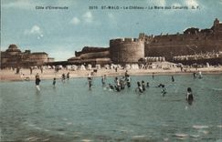 CPA Saint Malo Cote d'Emeraude Le Chateau La Mare aux Canards