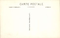 CPA Saint Malo Cote d'Emeraude Le Chateau La Mare aux Canards