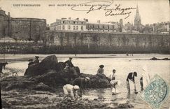 CPA Saint Malo Cote d'Emeraude La Mare qux Canetons
