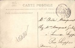 CPA Saint Malo Cote d'Emeraude La Mare qux Canetons