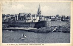 CPA Saint Malo Les Remparts et la Ville vus du Grand Bey
