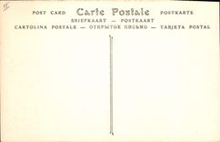 CPA Chartres La Cathedrale cue prise de Cachemback 