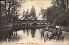 CPA Maintenon Le Pont de la Ferte 
