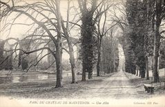 CPA Parc du Chateau de Maintenon Une allee 