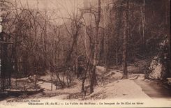 CPA Gemenos B du R La Vallee de St Pons Le bosquet de St Eloi en hiver 