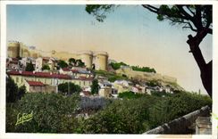 CPA Villeneuve les Avignon Gard Quartier du Fort Saint Andre 