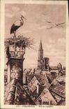 CPA Strasbourg ND de Cigognes 