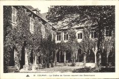 CPA Colmar Le Cloitre de l'ancien couvent des Dominicains 