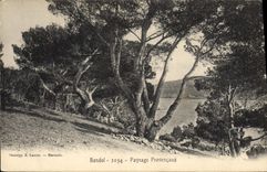 CPA Bandol Paysage Provencaux 