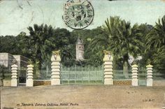 CPA Tamaris Entree du Chateau Michel Pacha 