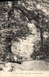 CPA La Sainte Baume Sous Bois Chemin de Giniez 