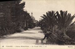 CPA Tamaris Chateau Michel Pacha La Grande Allee 