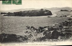 CPA Saint Raphael Le Lion de Terre et le Lion de Mer vus de la Route de Nice 